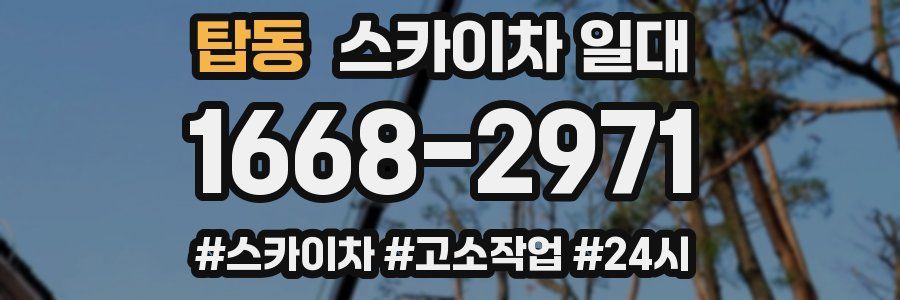 탑동 스카이차 일대