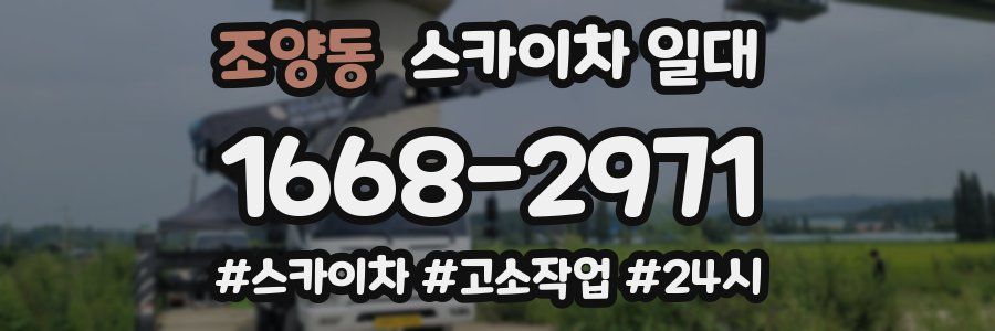 조양동 스카이차 일대