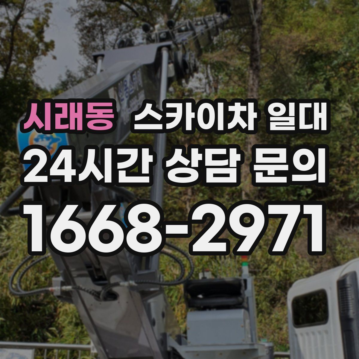 시래동 스카이차 일대