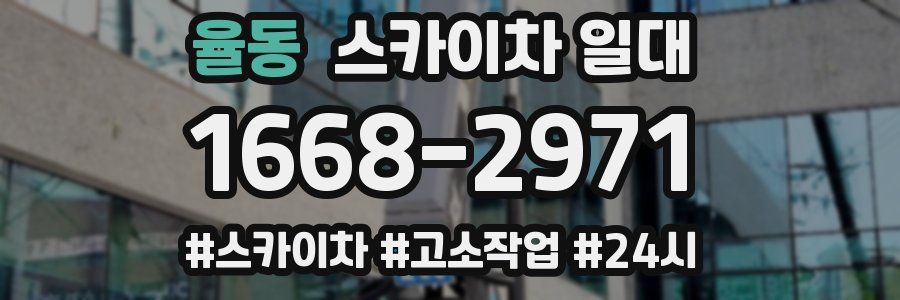 율동 스카이차 일대
