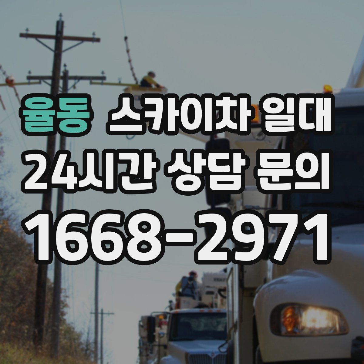 율동 스카이차 일대