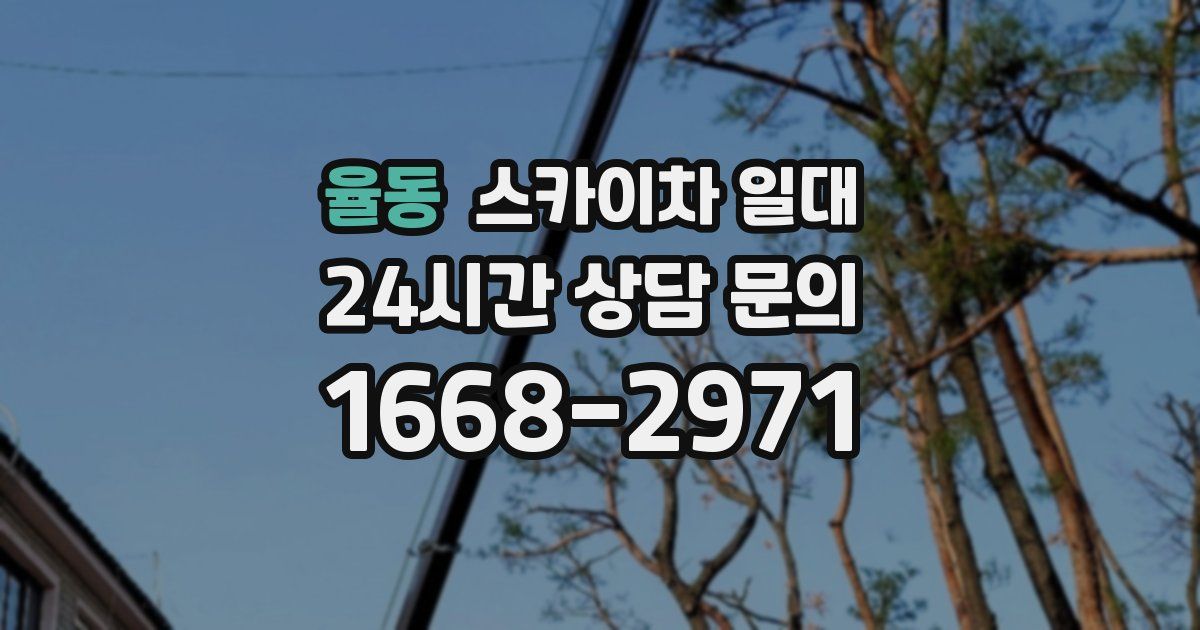 율동 스카이차 일대