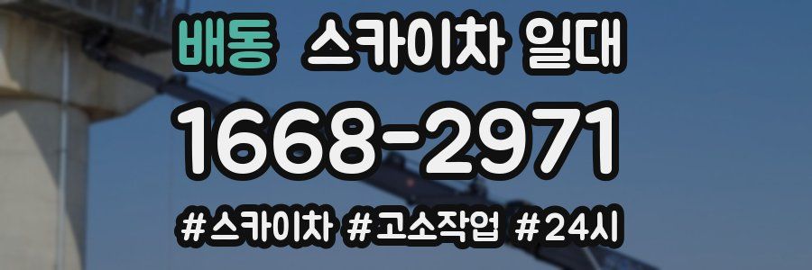 배동 스카이차 일대