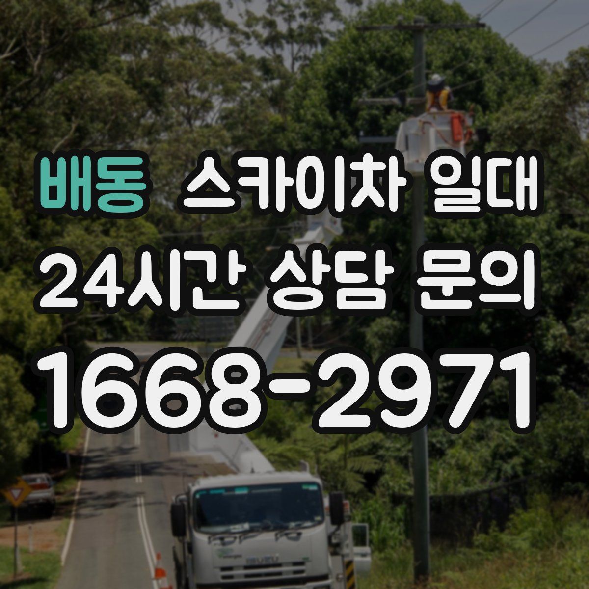 배동 스카이차 일대
