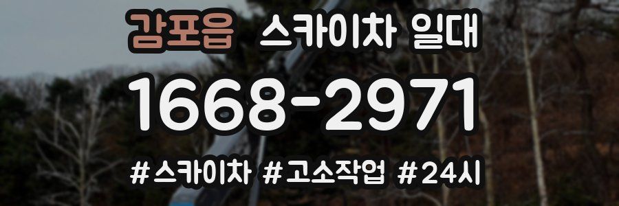 감포읍 스카이차 일대
