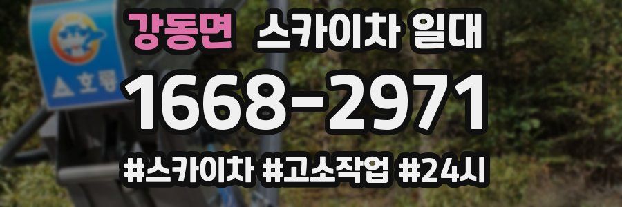 강동면 스카이차 일대