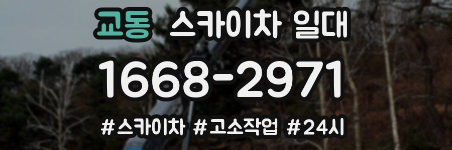 교동 스카이차 일대