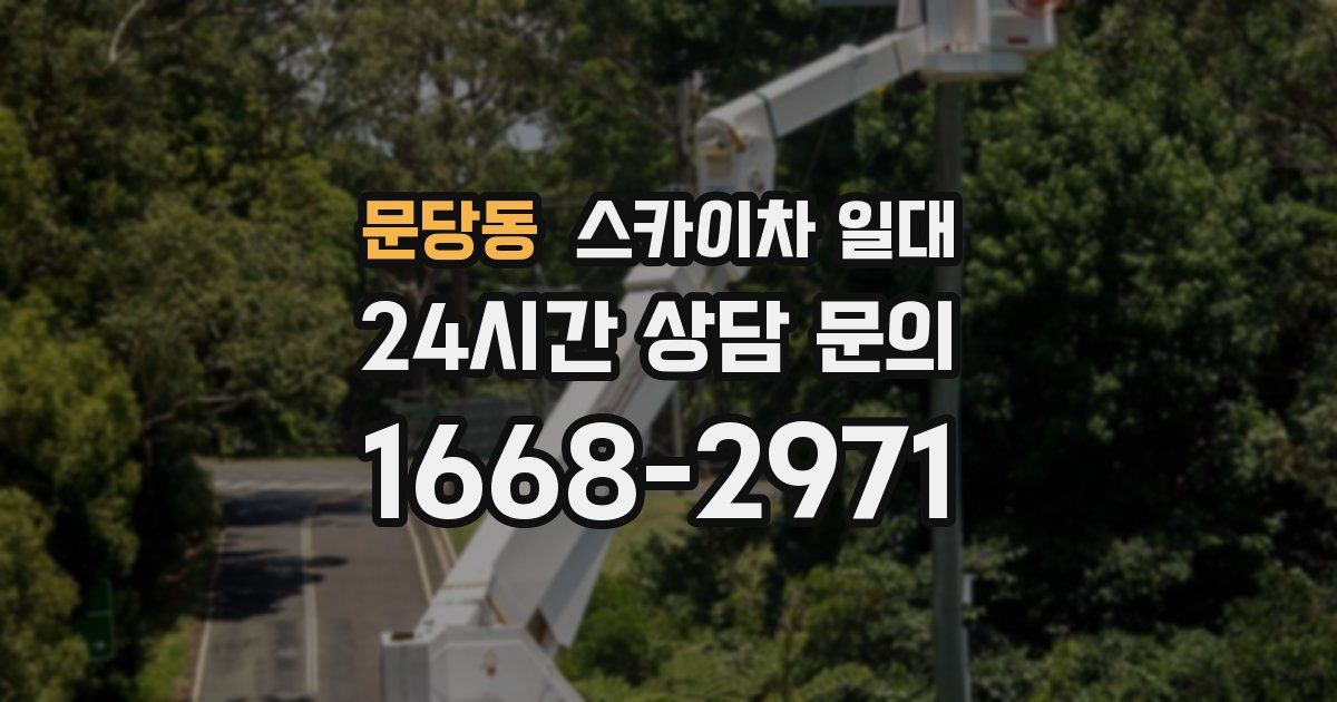문당동 스카이차 일대