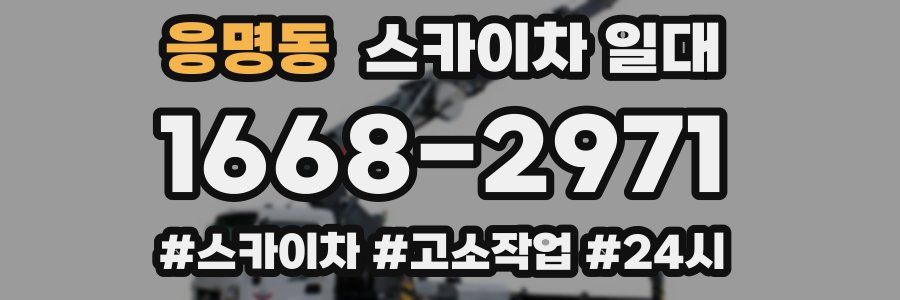 응명동 스카이차 일대