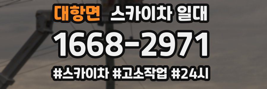 대항면 스카이차 일대