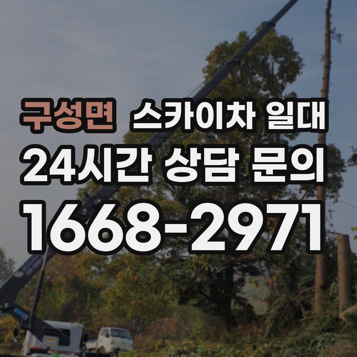 구성면 스카이차 일대