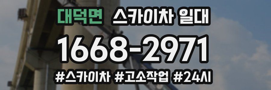 대덕면 스카이차 일대