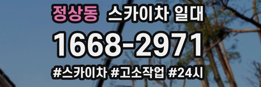 정상동 스카이차 일대