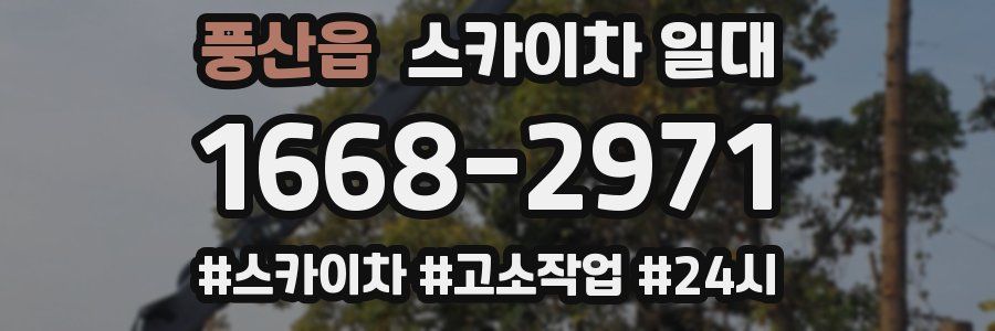 풍산읍 스카이차 일대