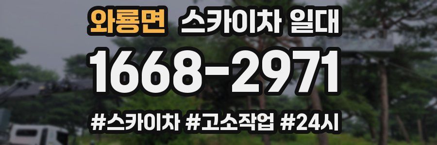 와룡면 스카이차 일대