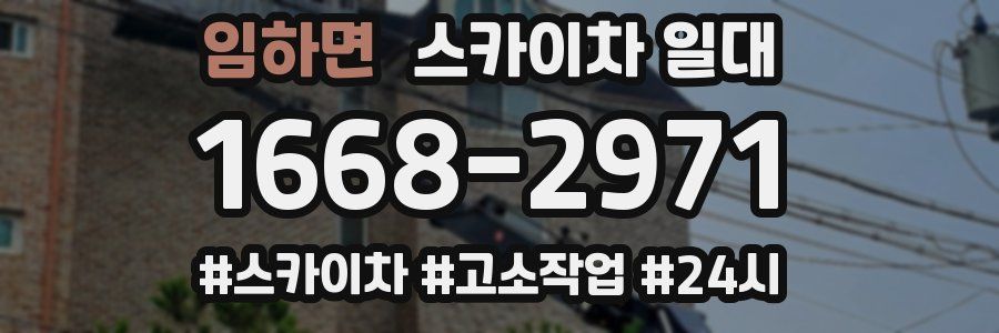 임하면 스카이차 일대