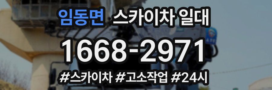 임동면 스카이차 일대