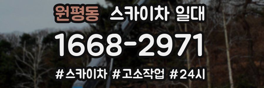 원평동 스카이차 일대
