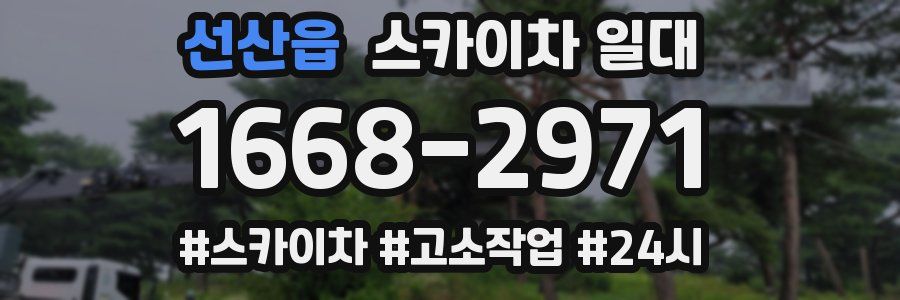 선산읍 스카이차 일대