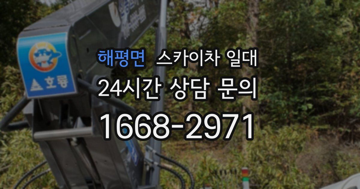 해평면 스카이차 일대