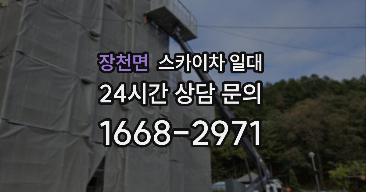 장천면 스카이차 일대