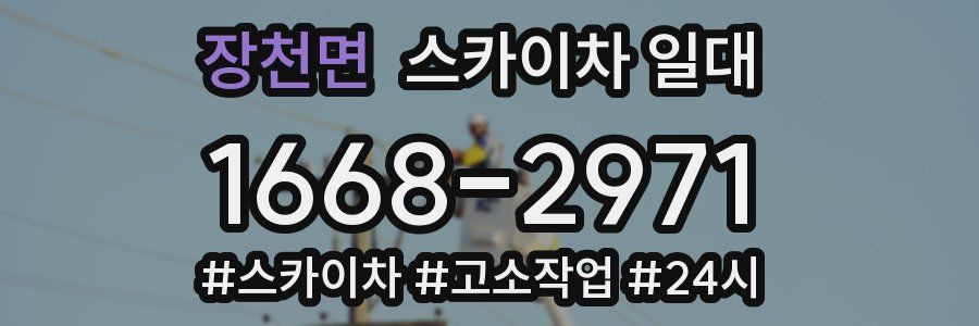 장천면 스카이차 일대