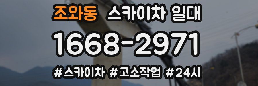 조와동 스카이차 일대