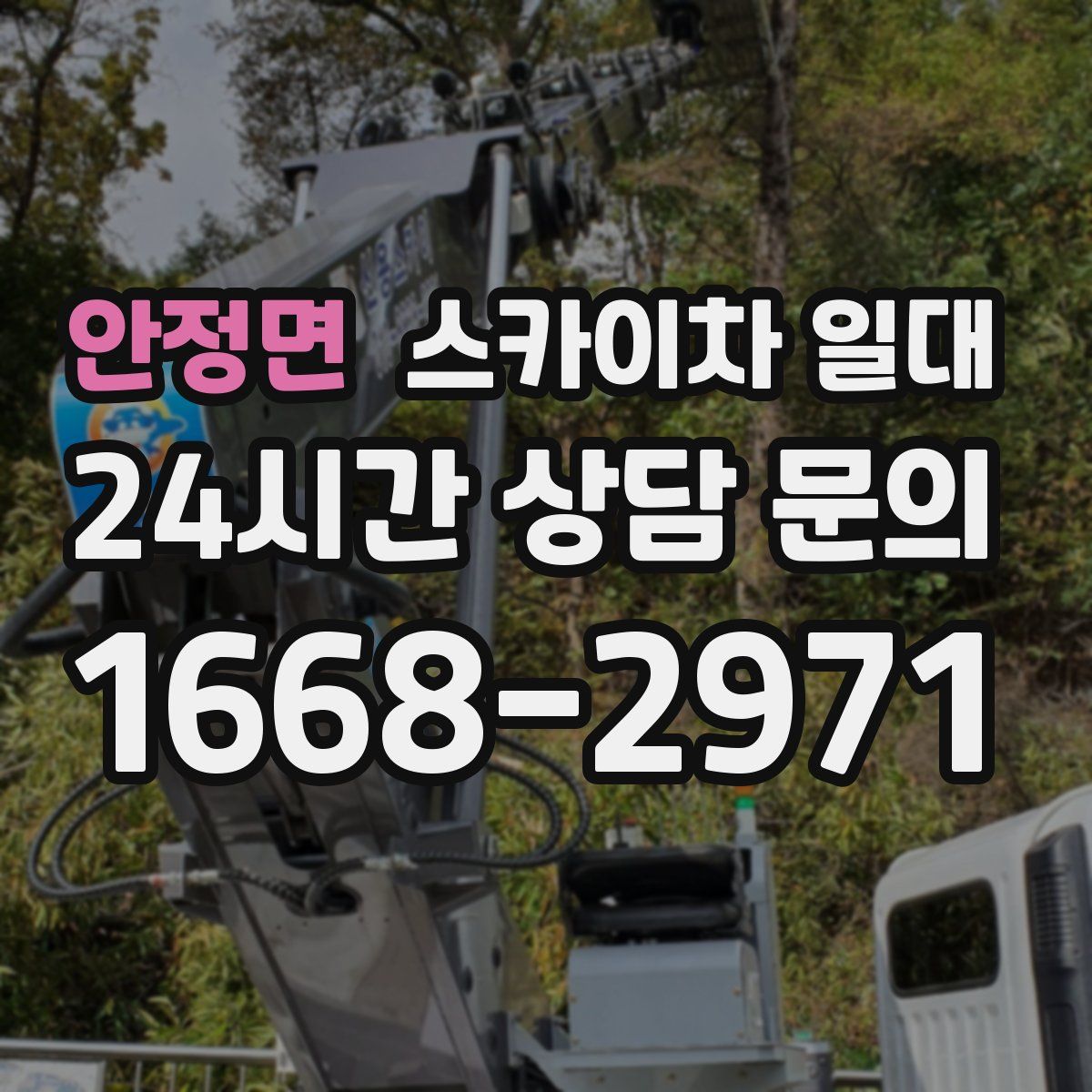 안정면 스카이차 일대