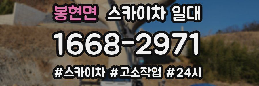 봉현면 스카이차 일대