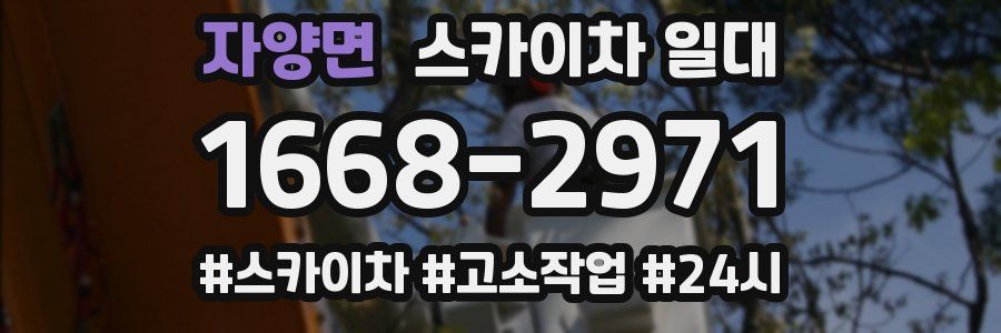 자양면 스카이차 일대