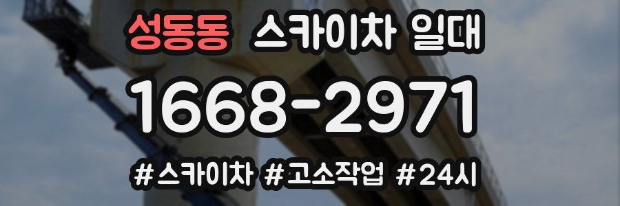 성동동 스카이차 일대