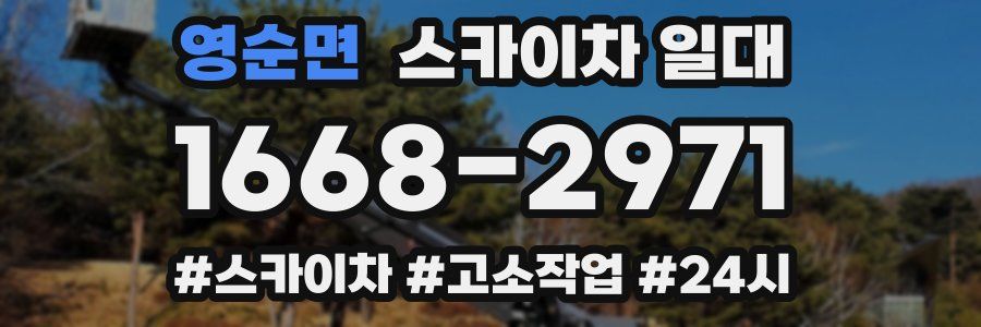 영순면 스카이차 일대
