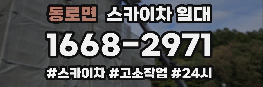 동로면 스카이차 일대