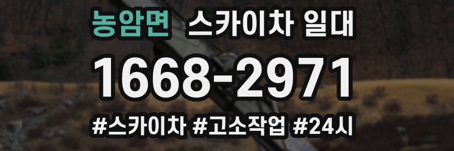 농암면 스카이차 일대