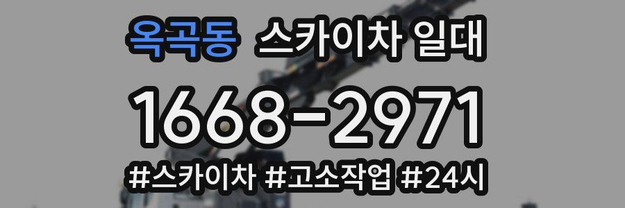 옥곡동 스카이차 일대