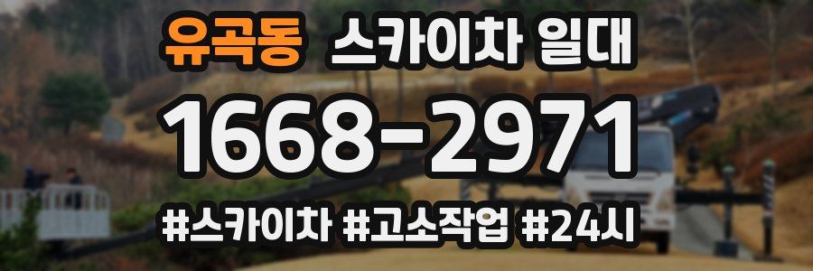 유곡동 스카이차 일대