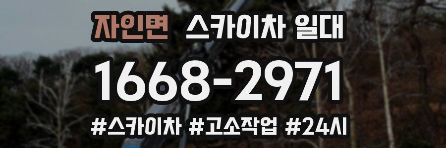 자인면 스카이차 일대
