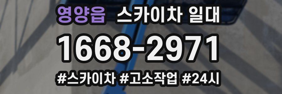 영양읍 스카이차 일대