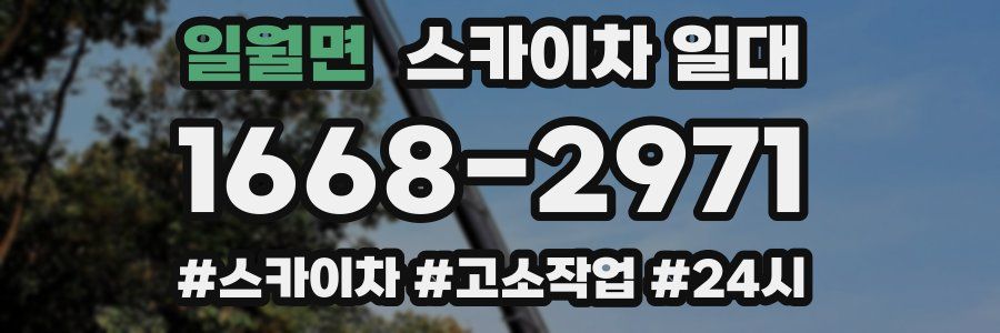 일월면 스카이차 일대