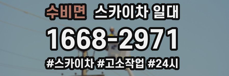 수비면 스카이차 일대