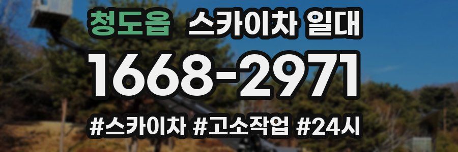 청도읍 스카이차 일대