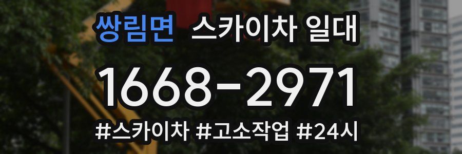 쌍림면 스카이차 일대