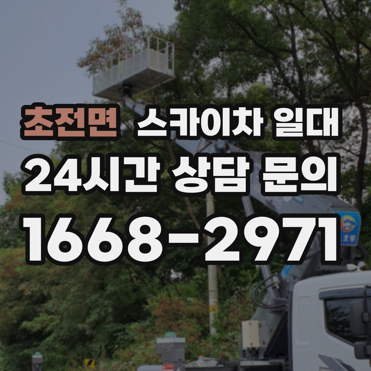 초전면 스카이차 일대