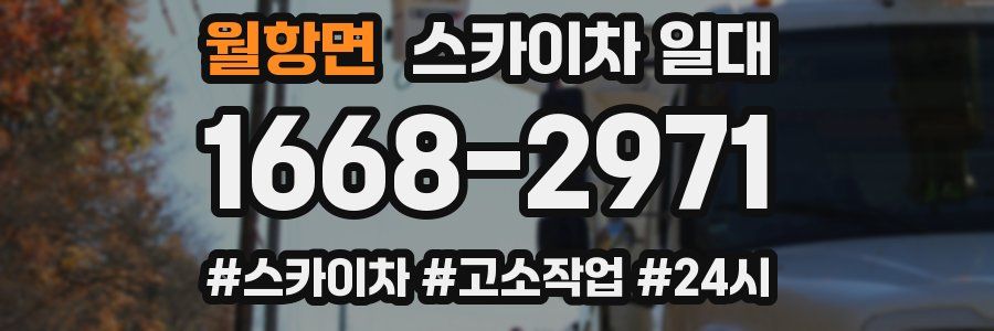 월항면 스카이차 일대