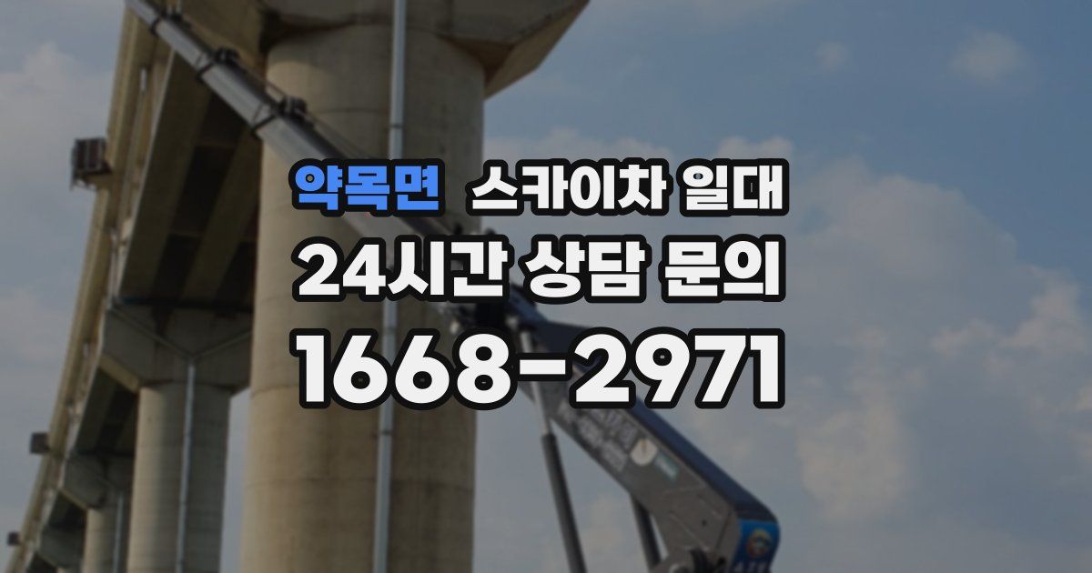 약목면 스카이차 일대