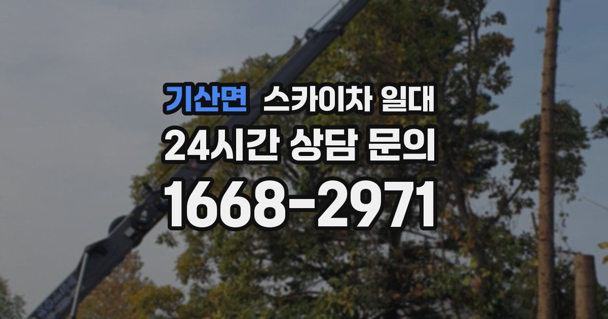 기산면 스카이차 일대