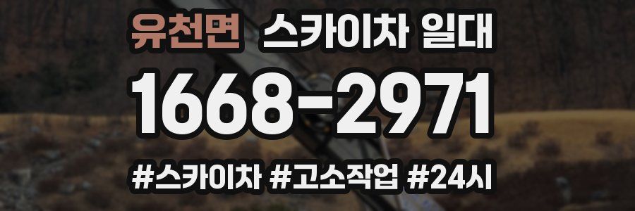 유천면 스카이차 일대