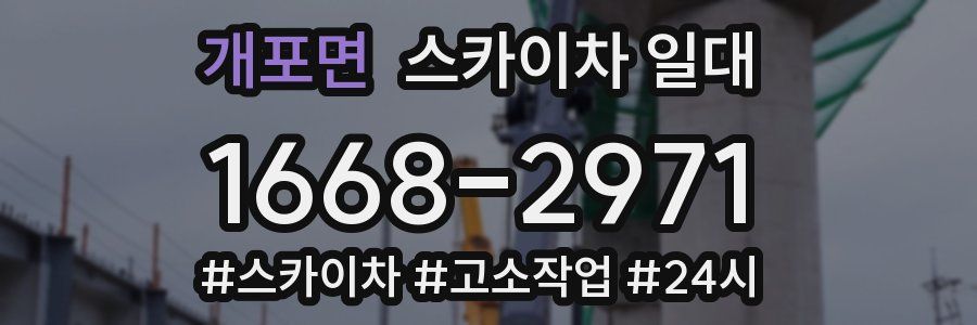 개포면 스카이차 일대