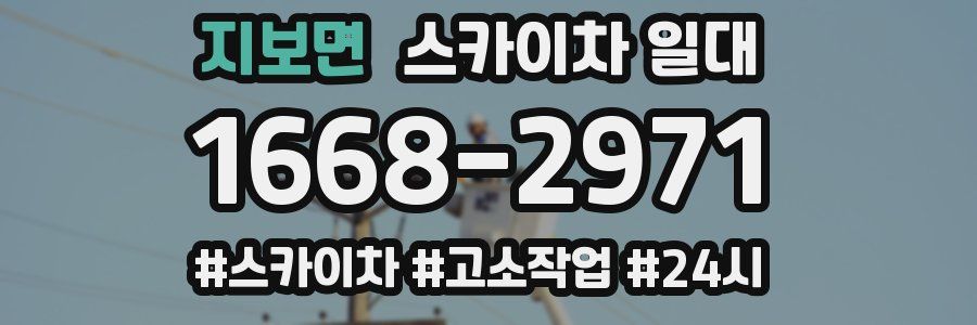 지보면 스카이차 일대