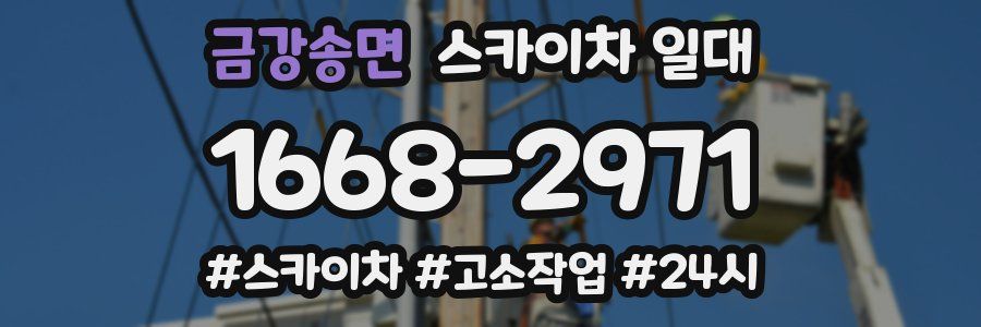 금강송면 스카이차 일대